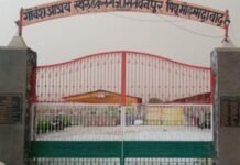 ध्वस्त व्यवस्था :सितबनपुर पिथू गौशाला में 700 से घटकर 300 रह गए गोवंश