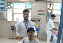 पागल कुत्ते का आतंक: युवक की बांह से नोचा मांस, 18 टांके लगे