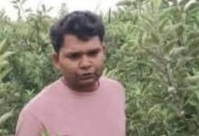 एमबीए छोड़ खेती में लिखा सफलता का नया अध्याय, फर्रुखाबाद के युवा सचिन शाक्य ने मैदानी क्षेत्र में उगा दिए सेब