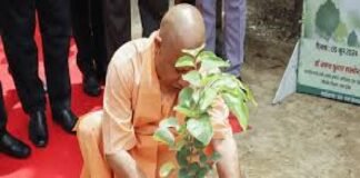 पर्यावरण दिवस पर यूपी ने पूरा किया 5 करोड़ पौधे लगाने का लक्ष्य