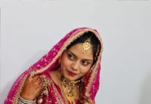 गंगा एक्सप्रेसवे पर अनियंत्रित होकर पलटी डबल डेकर बस, नवविवाहिता की मौत