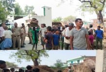 उच्चाधिकारियों के निर्देश पर चला प्रशासन का बुलडोजर, कब्जा मुक्त कराई गई भूमि