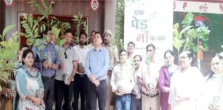 अधिकारियों और कर्मचारियों को पौधे देते सीडीओ