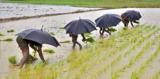 मानसून की चाल और खेती की चिंता: किसान क्या करें?