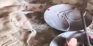 राशन की कालाबाजारी पर जिला प्रशासन का बड़ा एक्शन: कोला सोता के कोटेदार का अनुबंध निरस्त, एफआईआर दर्ज