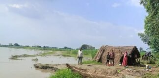 गंगा कटरी में भीषण कटान, दर्जनों परिवार बेघर होने की कगार पर