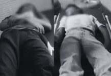 सोते समय जहरीले सांप ने सगे भाई-बहन को डसा, अस्पताल पहुंचने से पहले दोनों की मौत