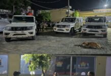 सरिया व्यापारी के मुनीम और चालक ने रची फर्जी लूट की साजिश, पूछताछ में खुला राज