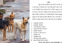 चमोली में आवारा और हिंसक कुत्तों का आतंक, 10 स्कूलों में चार दिन की छुट्टी, ऑनलाइन होगी पढ़ाई