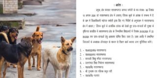 चमोली में आवारा और हिंसक कुत्तों का आतंक, 10 स्कूलों में चार दिन की छुट्टी, ऑनलाइन होगी पढ़ाई