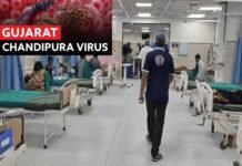 गुजरात में Chandipura Virus का प्रकोप: 22 बच्चों की मौत से हड़कंप, हाई अलर्ट पर सरकार
