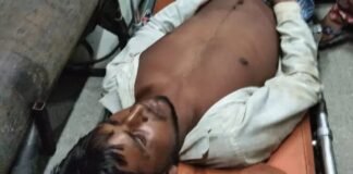 दबंगई की हद: फसल चराने का विरोध करने पर अंधाधुंध फायरिंग, दो भाई लहूलुहान