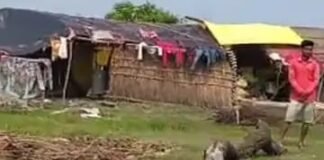 गंगा के कटान से सहमे समैचीपुर चितार में बचाव शुरू