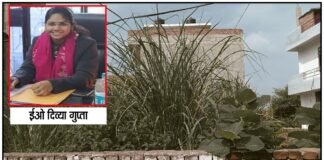 कई करोड़ की संपत्ति से रिश्ते के खातों तक
