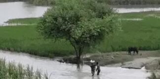 यूपी में बारिश-बाढ़ का असर कायम, 31 जिलों में अलर्ट