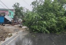 तेज हवा-बारिश ने मचाई तबाही, हाईवे पर गिरा पेड़; बिजली के 8 पोल टूटे