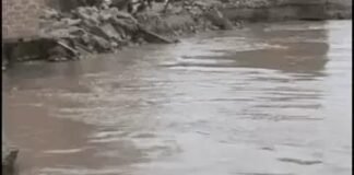 तीन दिन में गंगा में समाए 6 मकान, 8 परिवारों ने छोड़े घर