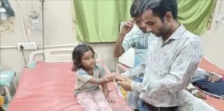 दुकान जा रही बच्ची को सांप ने डसा
