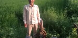 खेतों पर चोरों का कहर, 25वीं चोरी ने खोली पुलिस गश्त की पोल