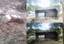 मौत बनकर खड़ा जर्जर पीडब्ल्यूडी वसूली कक्ष, मलबे में दबकर गोवंश की मौत