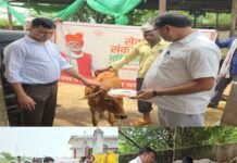 प्रधानमंत्री नरेंद्र मोदी के जन्मदिन के मौके पर नवाबगंज नगर पंचायत में गौ सेवा कार्यक्रम