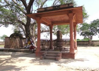फर्रुखाबादनामा: पांचाल से फर्रुखाबाद तक (अंक – 02) विश्व बौद्ध चेतना का केंद्र संकिसा: सम्राट अशोक के गज-स्तंभ से ह्वेनसांग के यात्रा वृत्तांत तक
