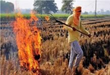 पराली जलाने पर अब कसेगा शिकंजा, 15 महीने तक ‘रेड कैटेगरी’ में रहेगा खेत