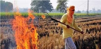 पराली जलाने पर अब कसेगा शिकंजा, 15 महीने तक ‘रेड कैटेगरी’ में रहेगा खेत