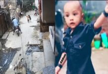 संगम विहार में आवारा कुत्ते का आतंक, 18 माह के मासूम को बुरी तरह नोचा, ICU में भर्ती