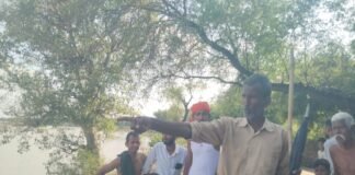 रामगंगा के बाढ़ के पानी में मगरमच्छ का हमला, गाय की मौत