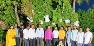 गन्ने की खेती की आड़ में उगाया 1 करोड़ से अधिक का गांजा, 240 पौधे सहित आरोपी गिरफ्तार