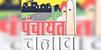 राजस्थान पंचायत चुनाव: नामांकन में अलवर सबसे आगे, जिला परिषद की 586 सीटों पर 2,629 उम्मीदवार मैदान में