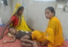 खूंखार बंदरों के हमले में चार वर्षीय मासूम गंभीर घायल, लोहिया अस्पताल में भर्ती