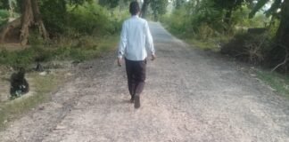 बरसात से बिगड़ी ग्रामीण क्षेत्र की सड़कों की सूरत, बड़े-बड़े गड्ढे दे रहे हादसों को दावत