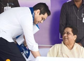 आकाश आनंद की BSP में फिर वापसी, मायावती ने दी राष्ट्रीय संयोजक की जिम्मेदारी