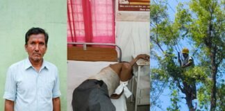बिजली लाइन के पास पेड़ की डाल काटते समय हादसा, लाइनमैन घायल